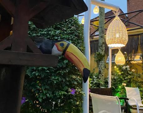 Canto Das Laranjeiras Moa Guarujá Exteriör bild